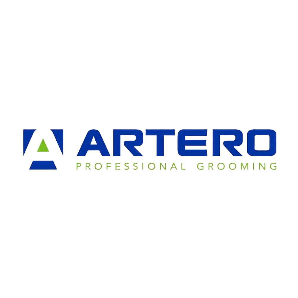 Black Legging Chic by Artero